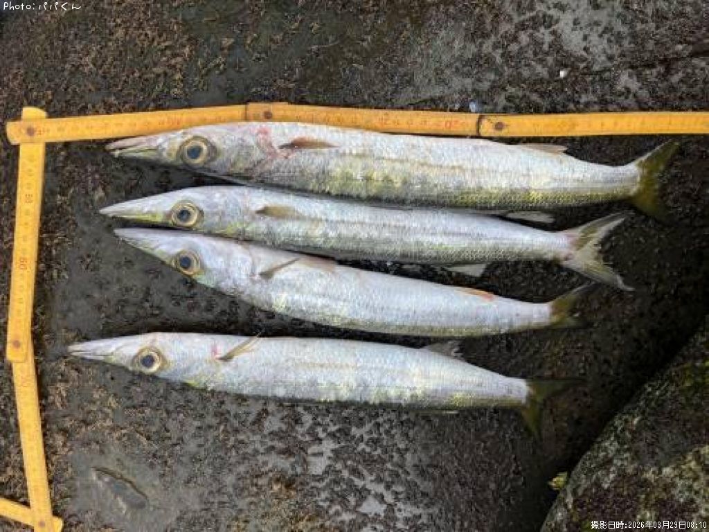 ������󥫥ޥ�