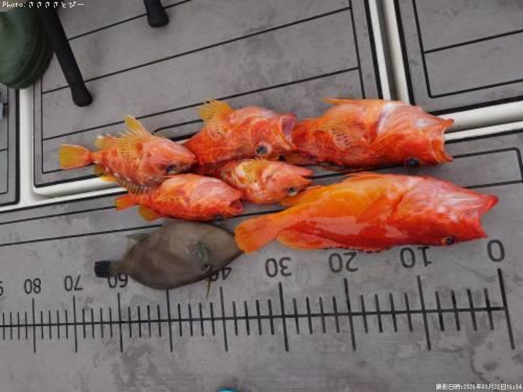 �����ϥ�������ᥫ���������ޥ���ϥ�