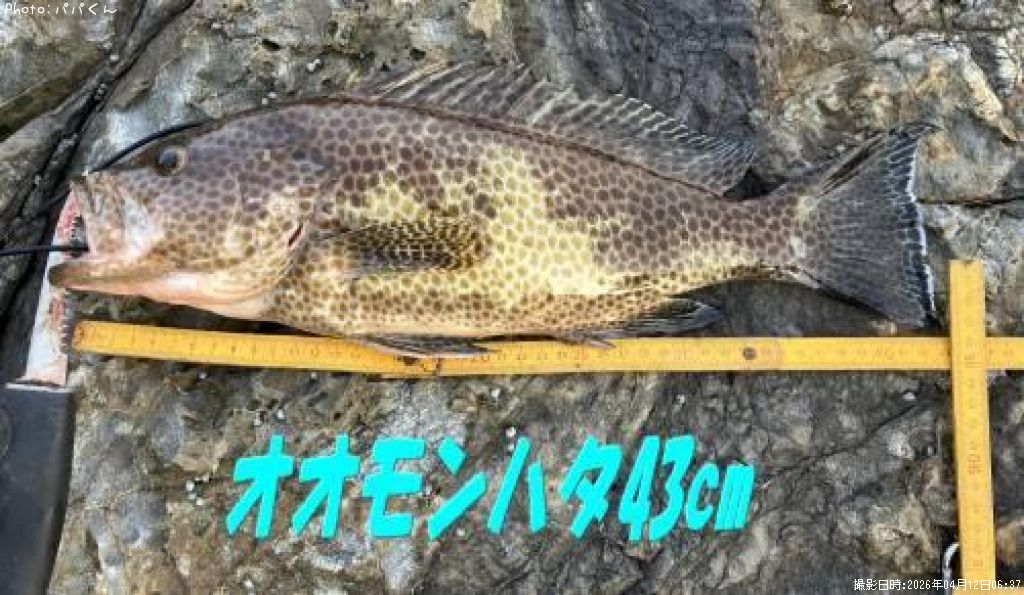 �������ϥ�