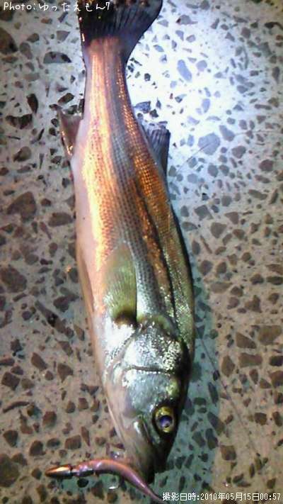 �����Х�