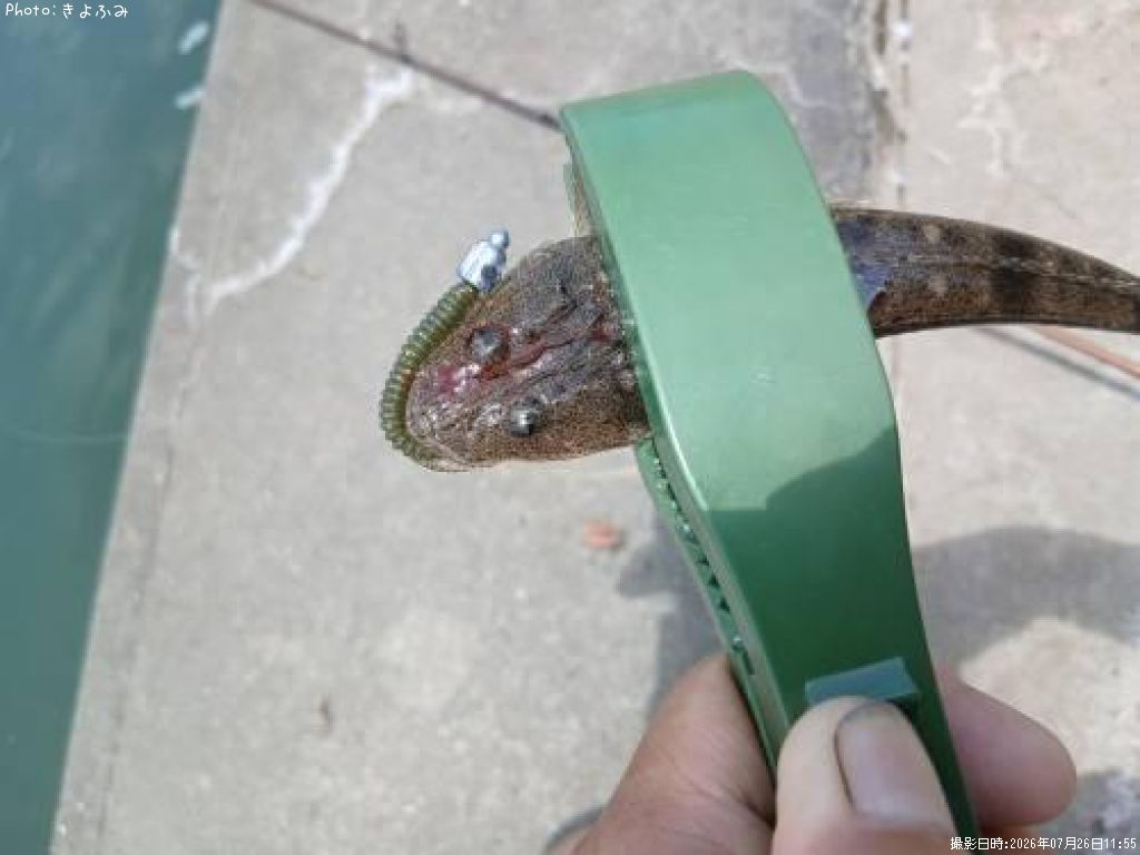 �ޥ���