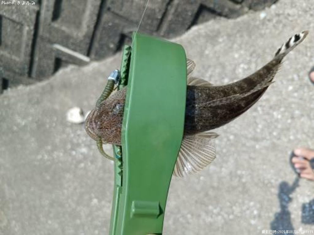�ޥ���
