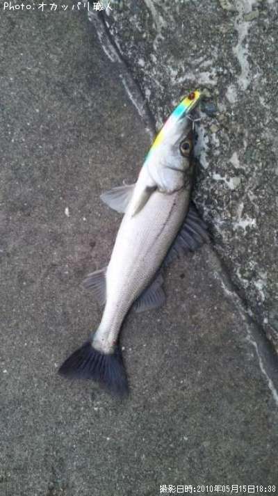 �����Х�