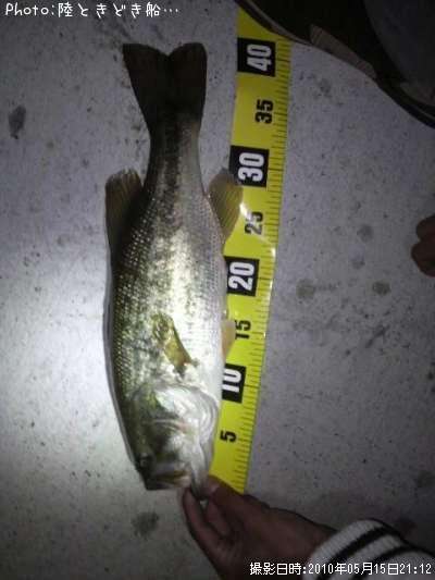 �֥�å��Х�