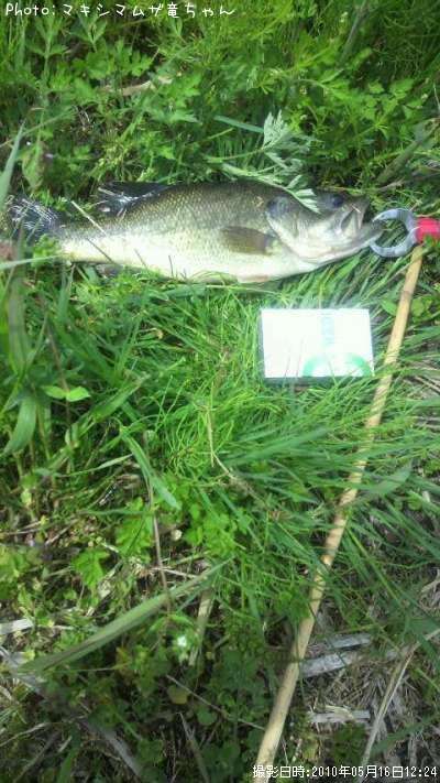 �֥�å��Х�