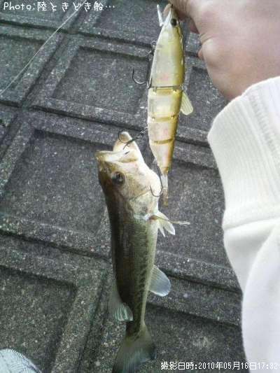 �֥�å��Х�