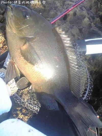 �����᥸��