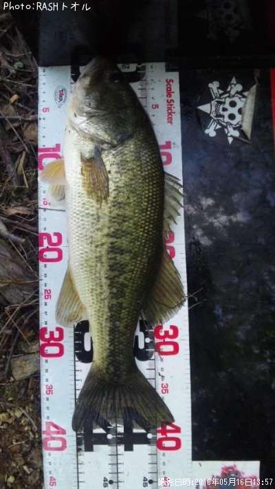 �֥�å��Х�