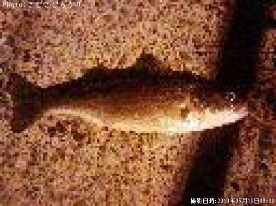 �����Х�