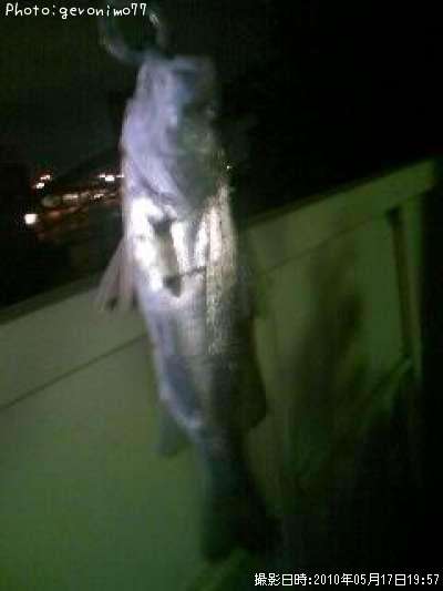 �����Х�