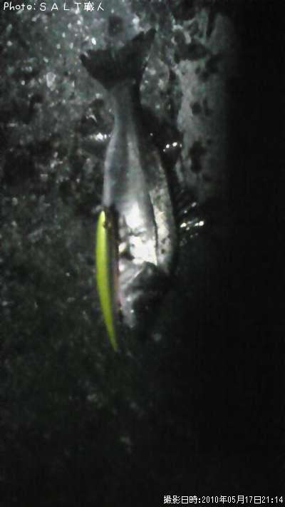 �����Х�