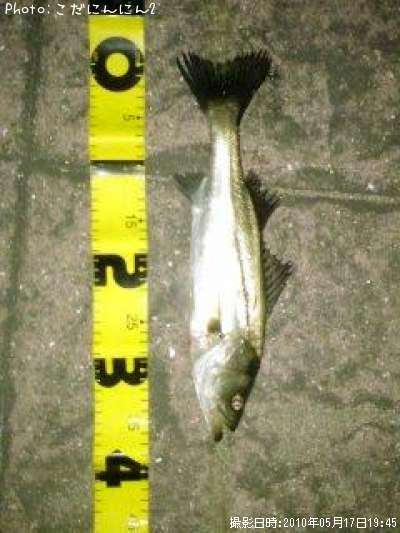 �����Х�