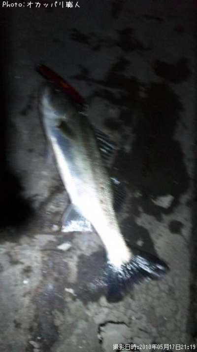 �����Х�