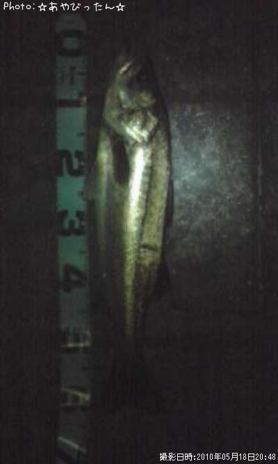 �����Х�