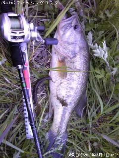 �֥�å��Х�