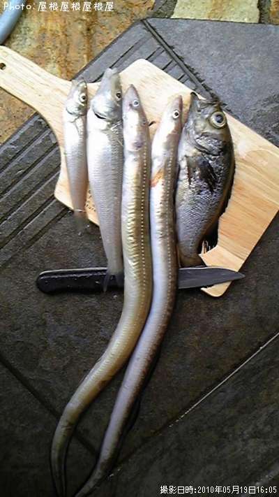 ���ʥ�����Х롡����