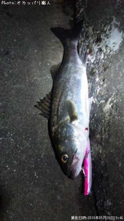 �����Х�