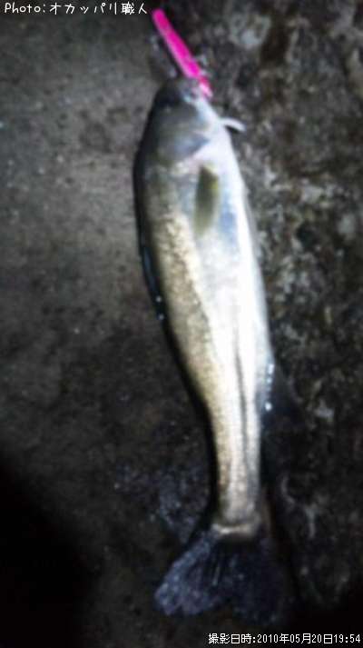 �����Х�