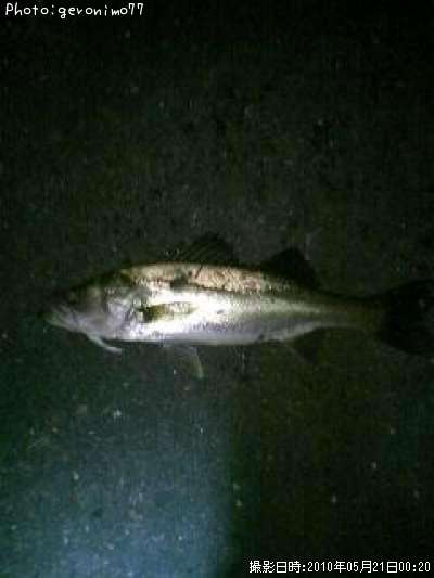 �����Х�