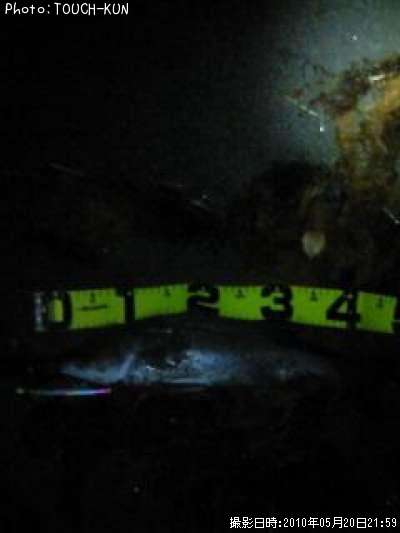 �����Х�