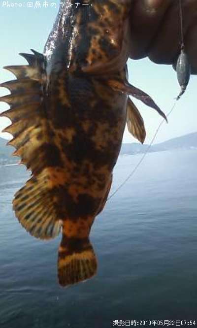 �����Υ���Х�