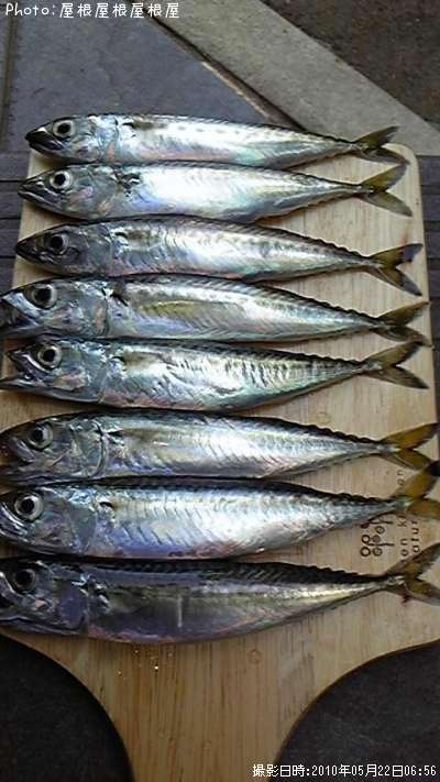 ���Ф����