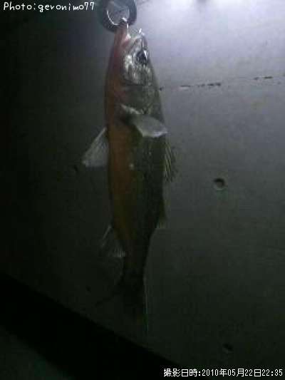 �����Х�