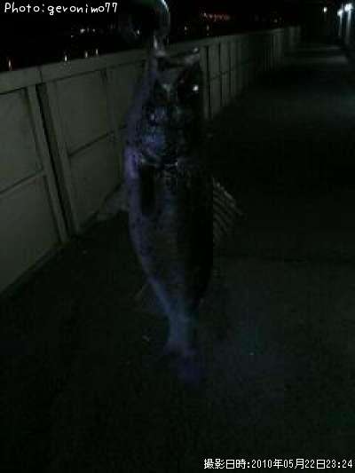 �����Х�