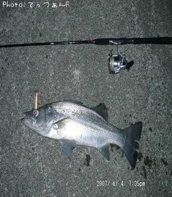 �ҥ饹����