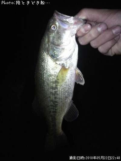 �֥�å��Х�