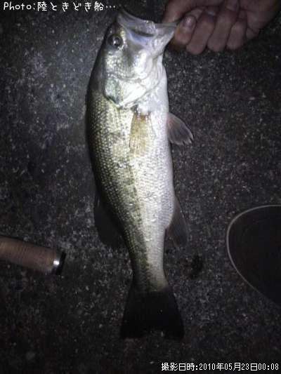 �֥�å��Х�