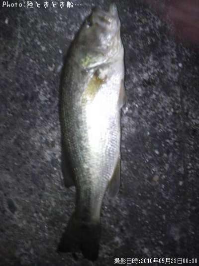 �֥�å��Х�