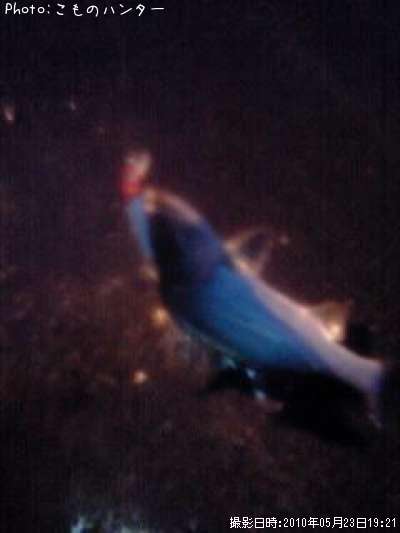 �����Х�