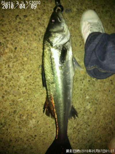 �����Х�