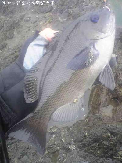 �����᥸��