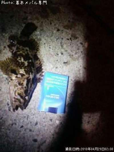 �����Τ�