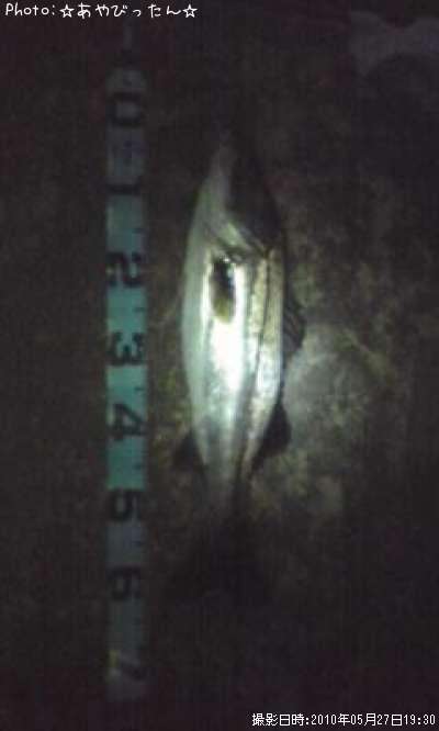 �����Х�