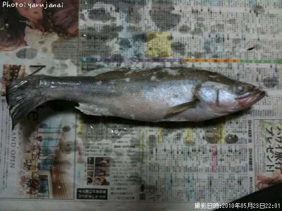 �����Х�