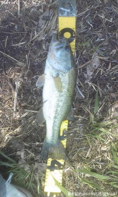 �֥�å��Х�