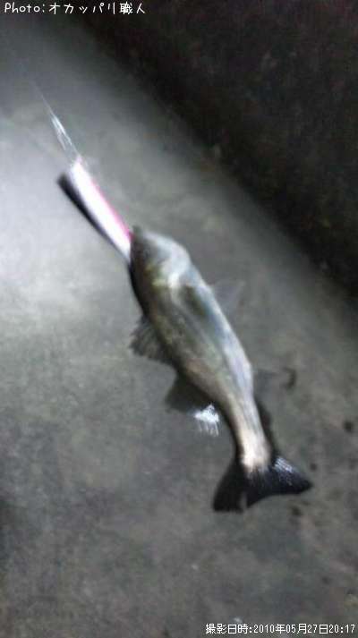 �����Х�