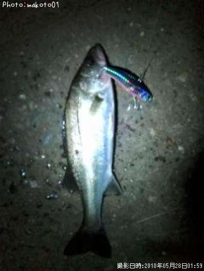 �����Х�