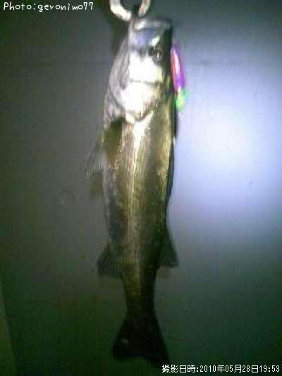 �����Х�