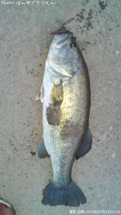 �֥�å��Х�