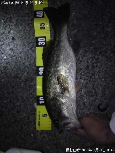 �֥�å��Х�