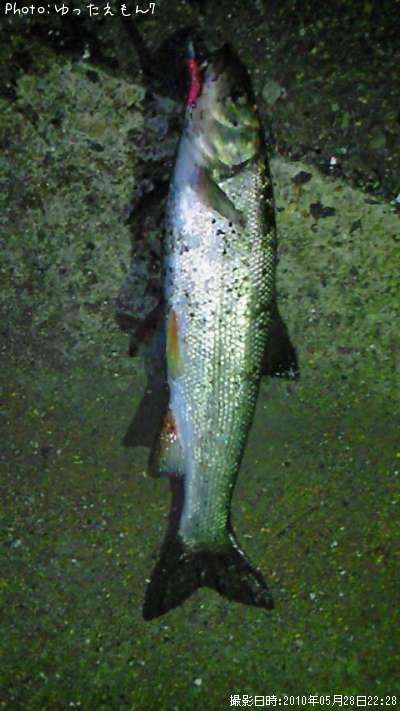 �ޥ륿������