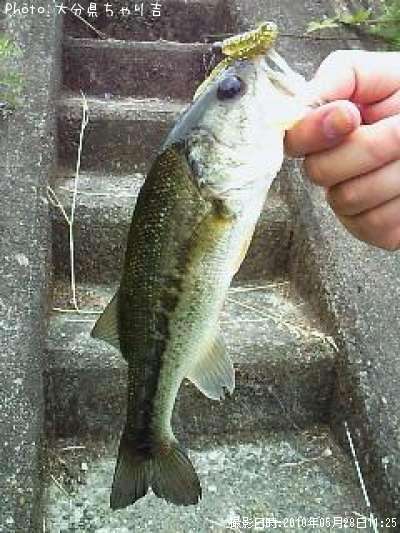 �֥�å��Х�