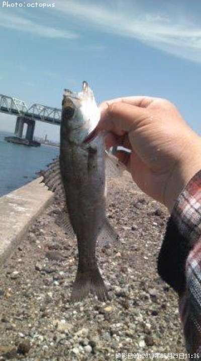 �����Х�