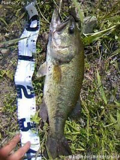 �֥�å��Х�