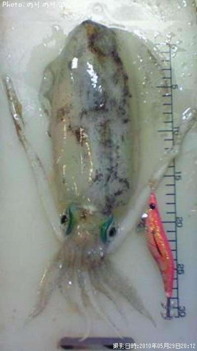 �����ꥤ��