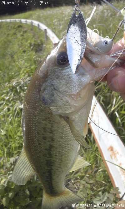 �֥�å��Х�